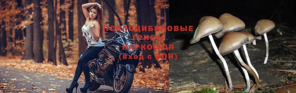 эйфоретик Лихославль