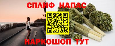 индика Будённовск