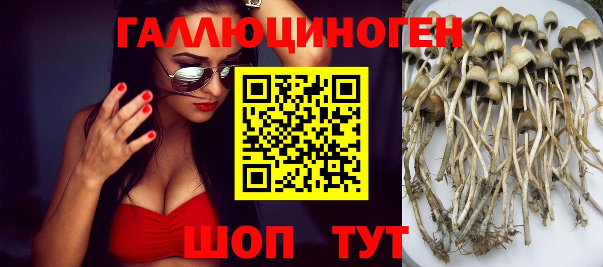 Псилоцибиновые грибы GOLDEN TEACHER  Вход с VPN  Домодедово  Галлюциногенные грибы Cubensis 