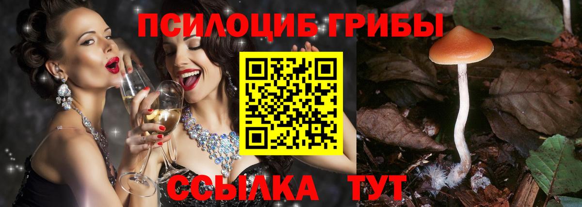 Псилоцибиновые грибы мухоморы  Домодедово 