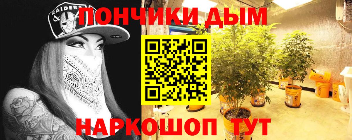 Шишки марихуана сатива Домодедово